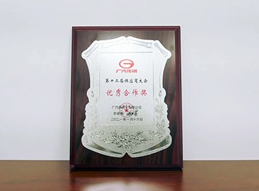 广汽传祺优良合作奖